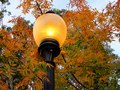 Autumn Lamp Post