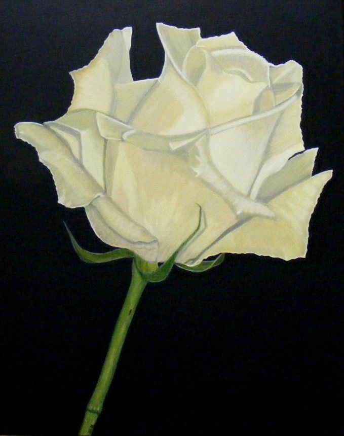 whiterose
