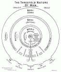 Trifold nature of man