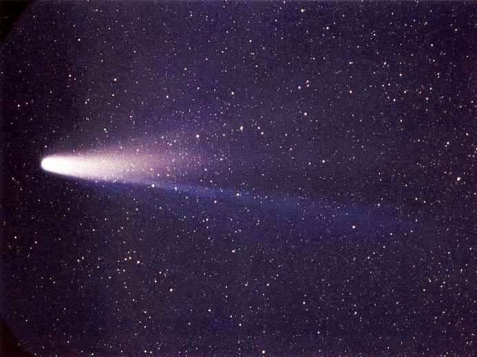 Photo of Halley's Comet