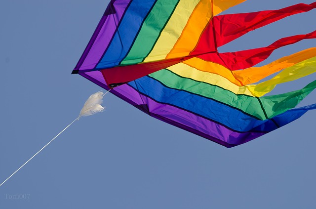kite photo