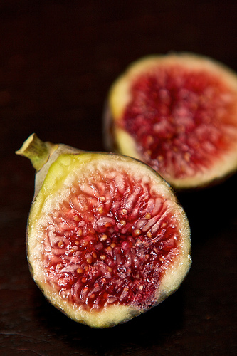 figs photo