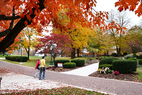 fall campus photo