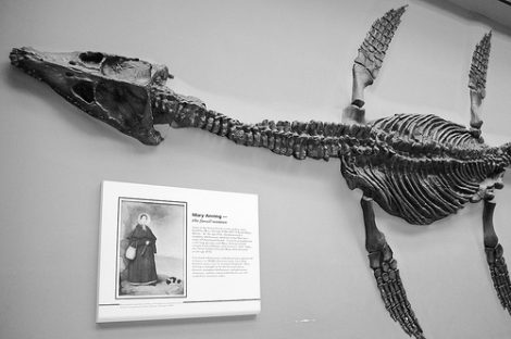 mary anning photo