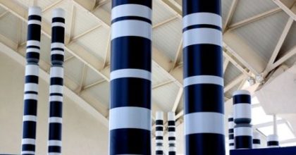 photo of paired columns with banding patterns reminiscent of chromosomes