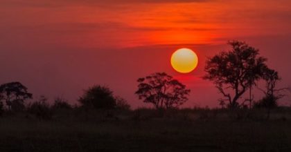 Sunset over the savannah