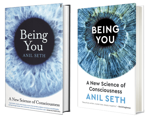 Being You – Anil Seth